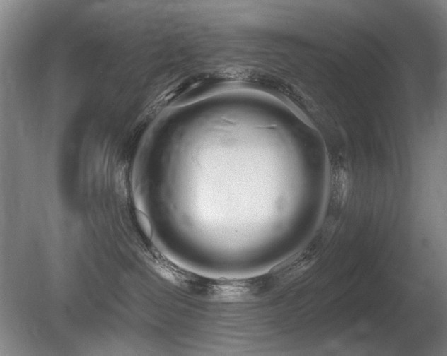 X0000080670286200612151205