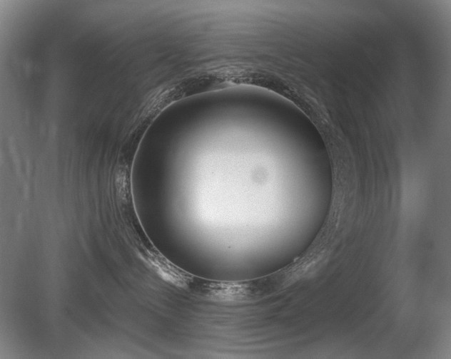 X0000080670288200612151205