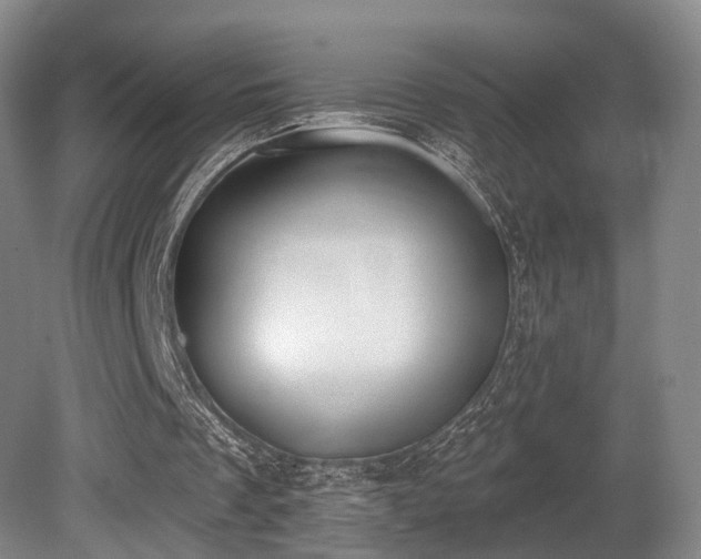 X0000080670289200612151204