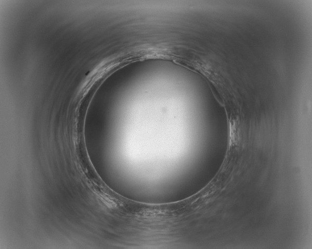 X0000080670291200612151204