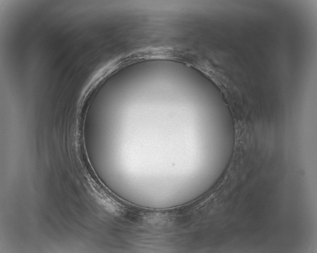 X0000080670293200612151204
