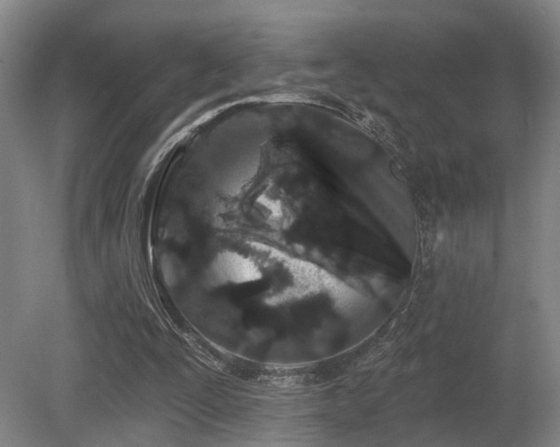 X0000080670295200612151204