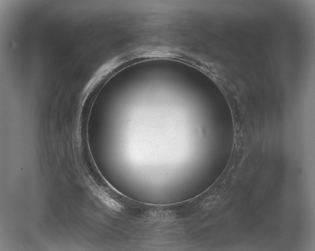 X0000080670296200612151204