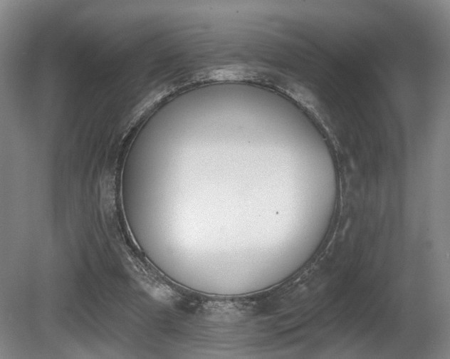 X0000080670297200612151204