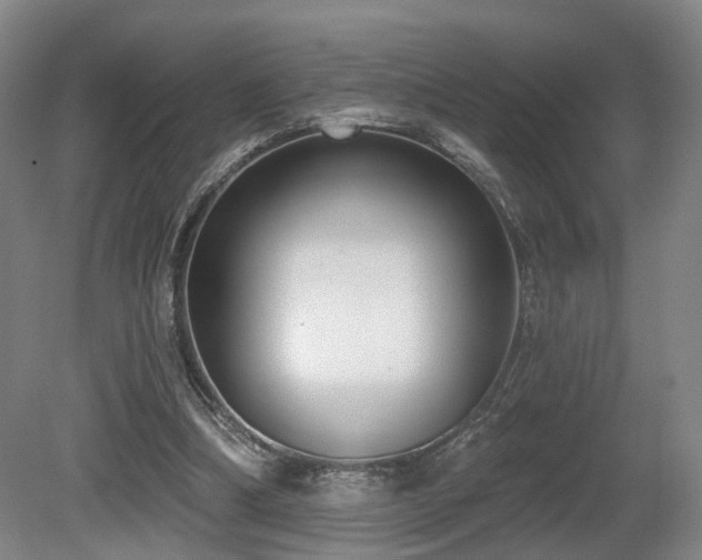 X0000080670298200612151204