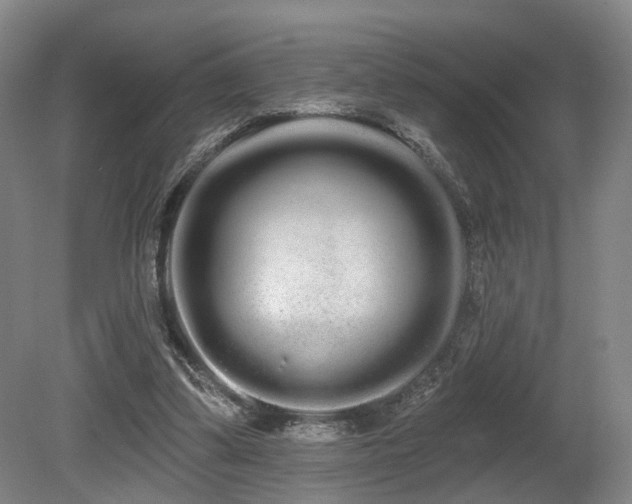 X0000080670299200612151204