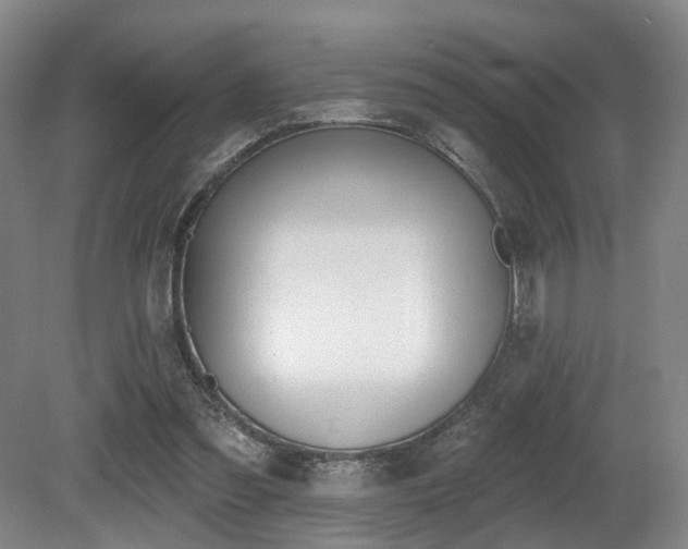 X0000080670301200612151204