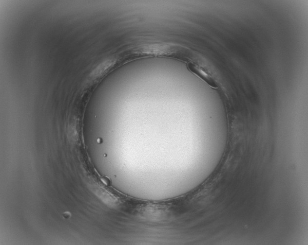 X0000080670305200612151204