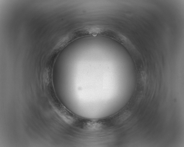 X0000080670311200612151204