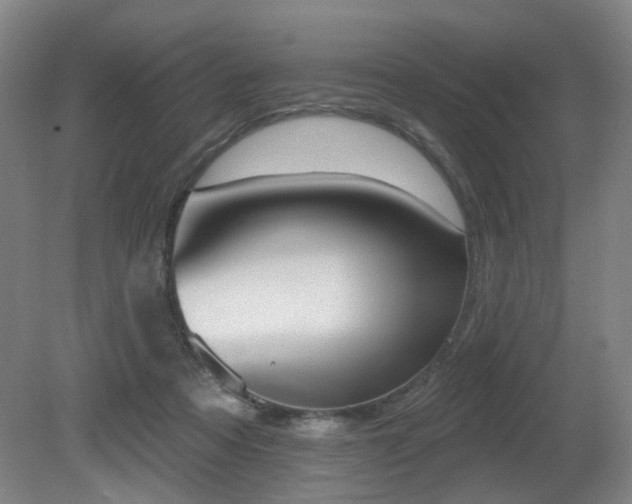 X0000080670313200612151204