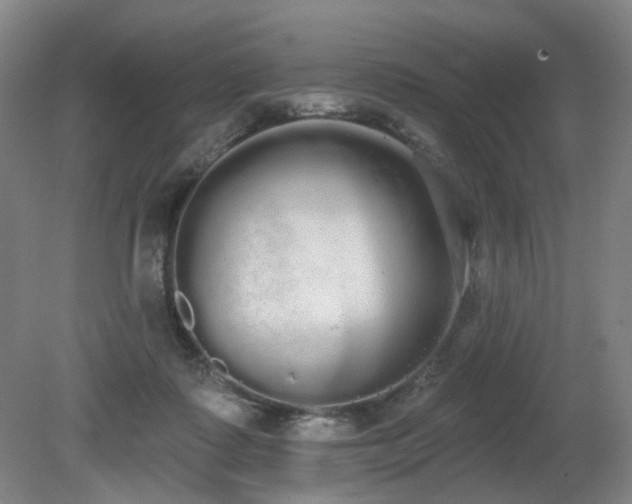 X0000080670315200612151203