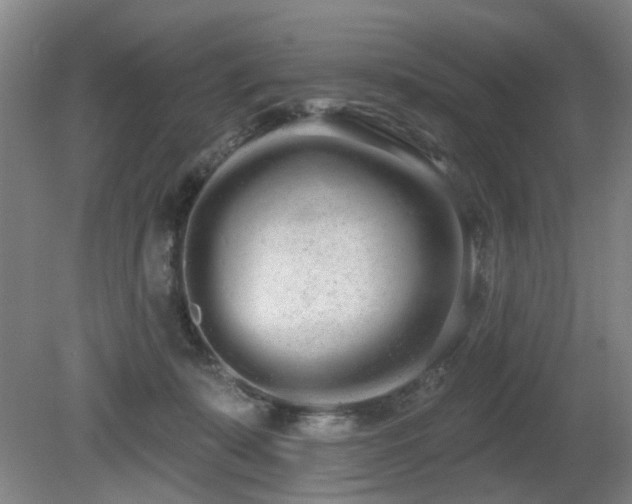 X0000080670319200612151203