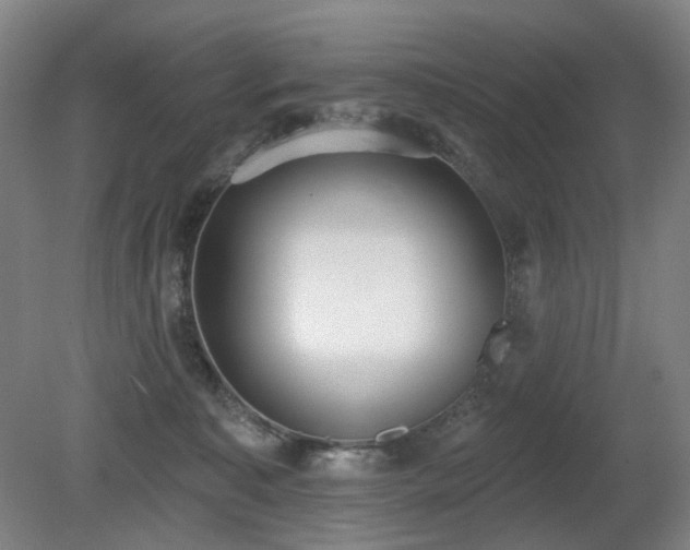 X0000080670323200612151203