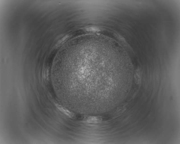 X0000080670330200612151203