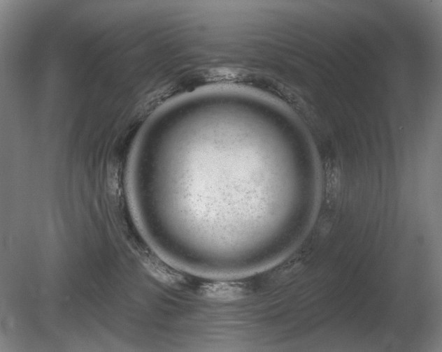 X0000080670331200612151203
