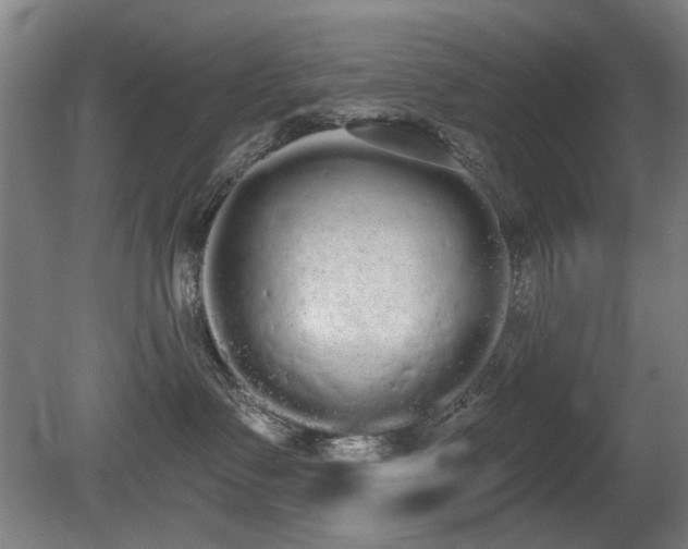 X0000080670335200612151203