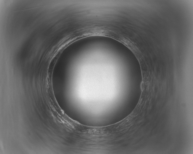 X0000080670338200612151202