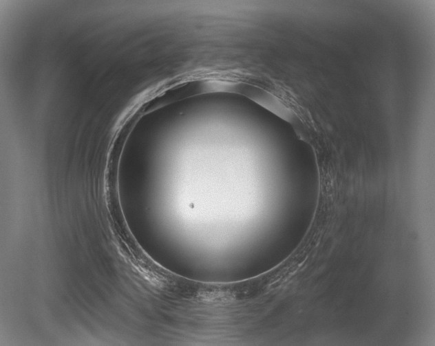 X0000080670340200612151202