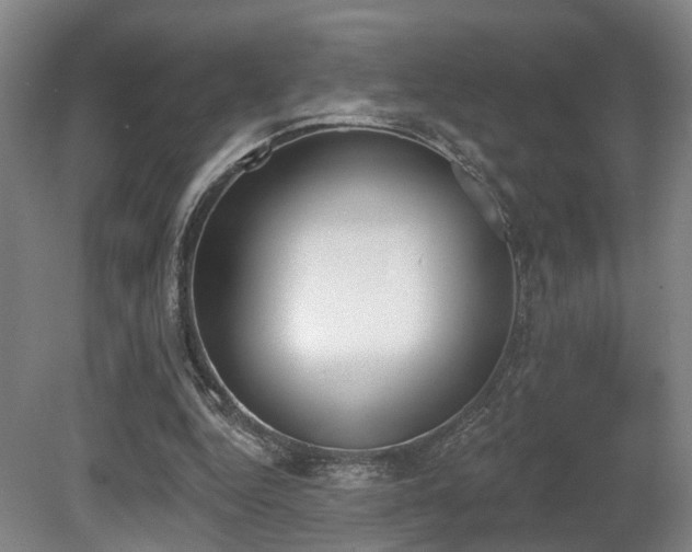 X0000080670344200612151202