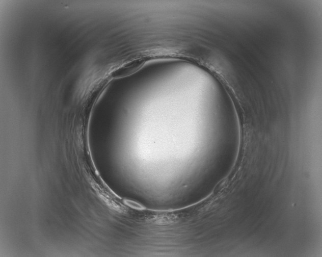X0000080670345200612151202