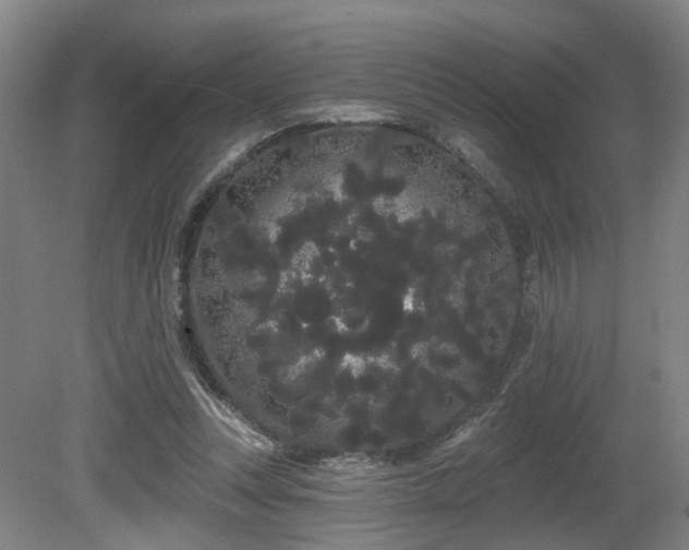 X0000080670351200612151203