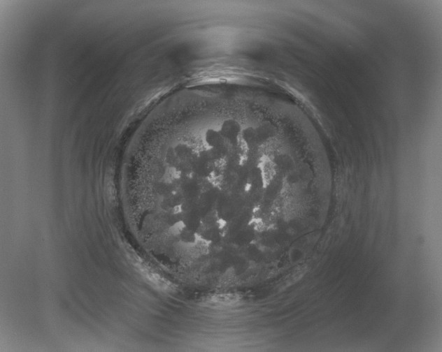 X0000080670353200612151203