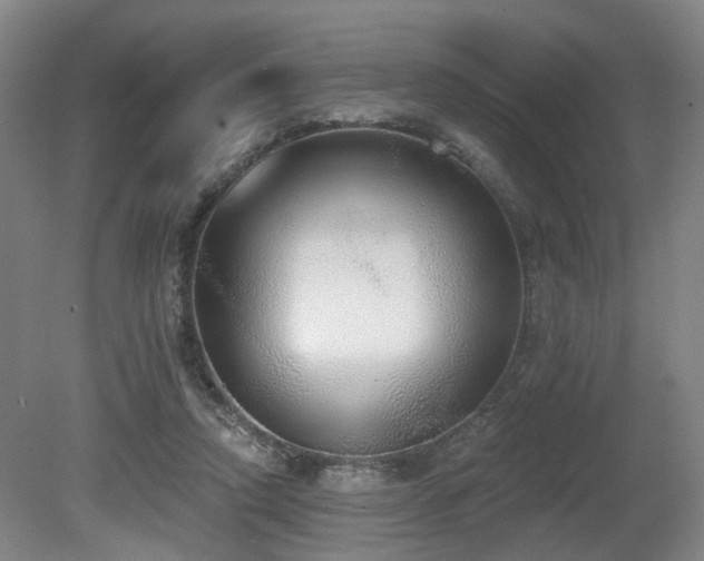 X0000080670354200612151203
