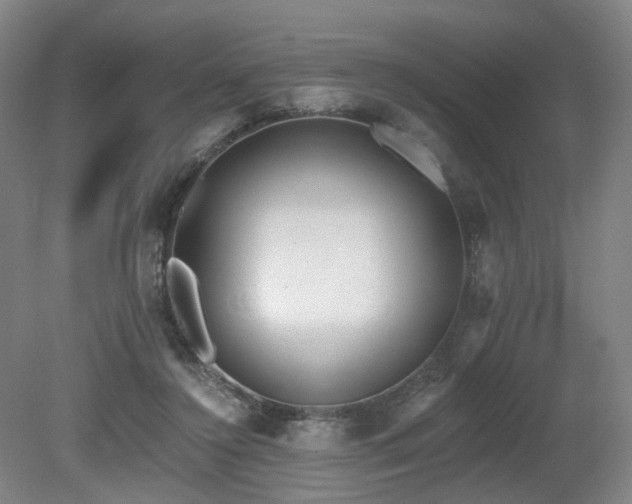 X0000080670356200612151203