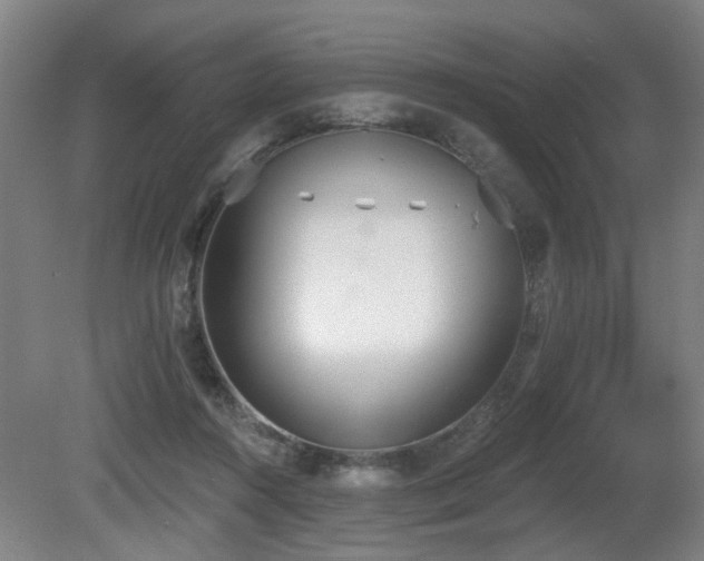 X0000080670360200612151203