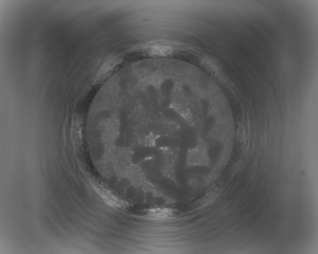 X0000080670363200612151203