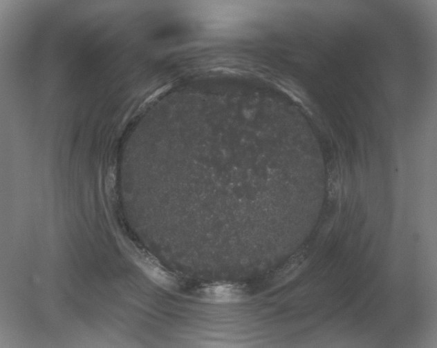 X0000080670365200612151203