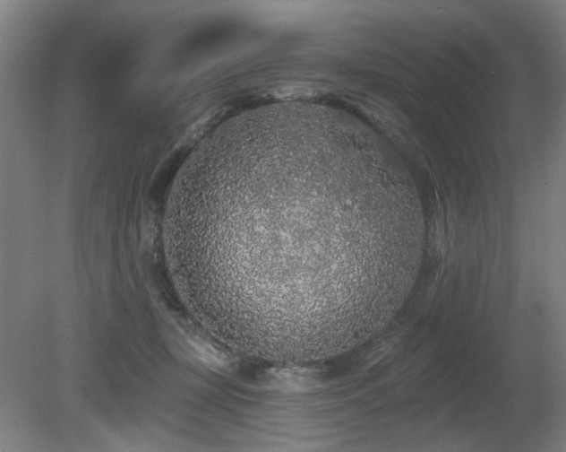 X0000080670367200612151203