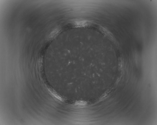 X0000080670369200612151203