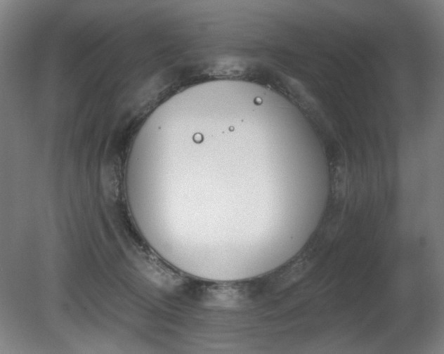 X0000080670370200612151203