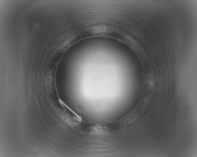 X0000080670372200612151203