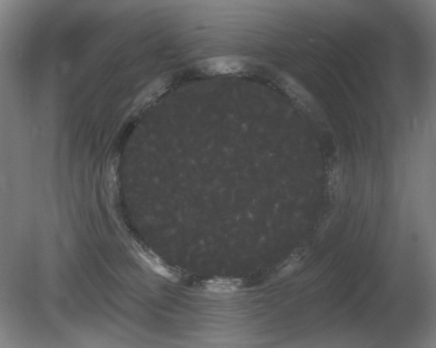 X0000080670373200612151203