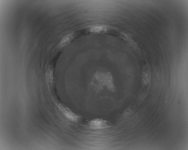 X0000080670375200612151203