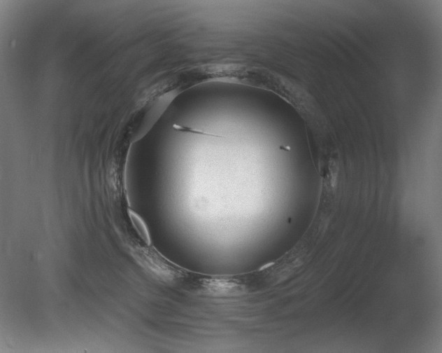 X0000080670380200612151203