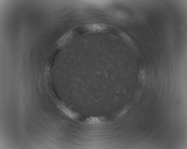 X0000080670381200612151203
