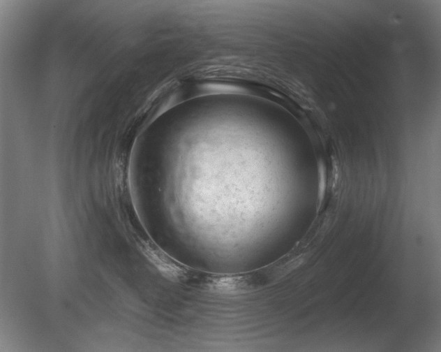 X0000080670382200612151203