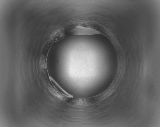 X0000080670384200612151203