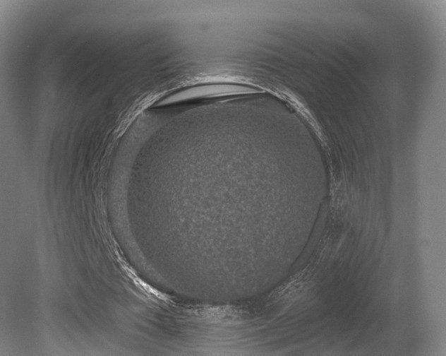 X0000080670385200612151202