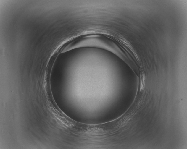 X0000080670387200612151202