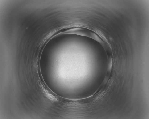 X0000080670389200612151202