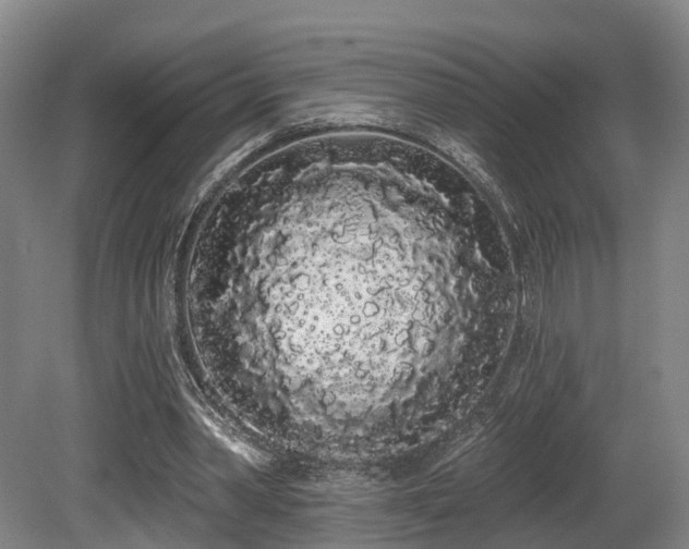 X0000080670390200612151202