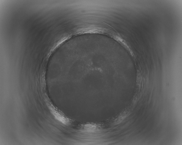 X0000080670394200612151202