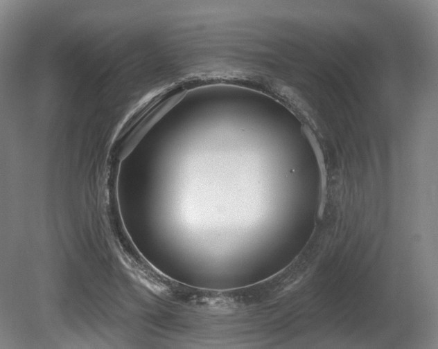 X0000080670395200612151202