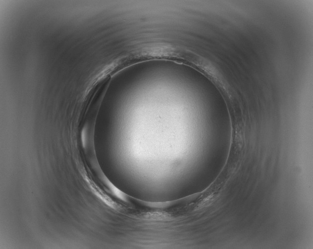 X0000080670397200612151202