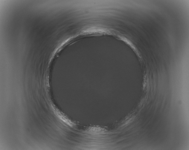 X0000080670399200612151202