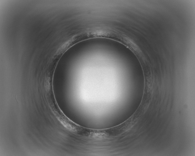 X0000080670401200612151202